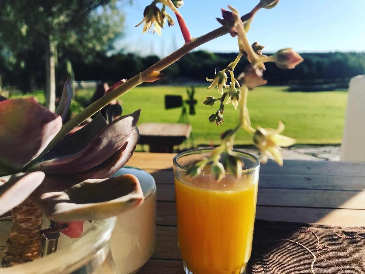 Olive Grove Guest Farm Villa Beaufort West Exterior foto