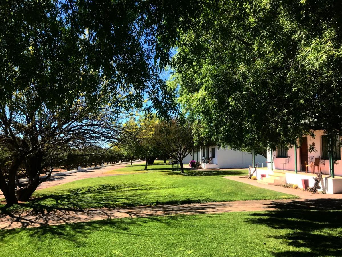 Olive Grove Guest Farm Villa Beaufort West Exterior foto