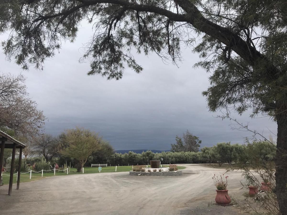 Olive Grove Guest Farm Villa Beaufort West Exterior foto