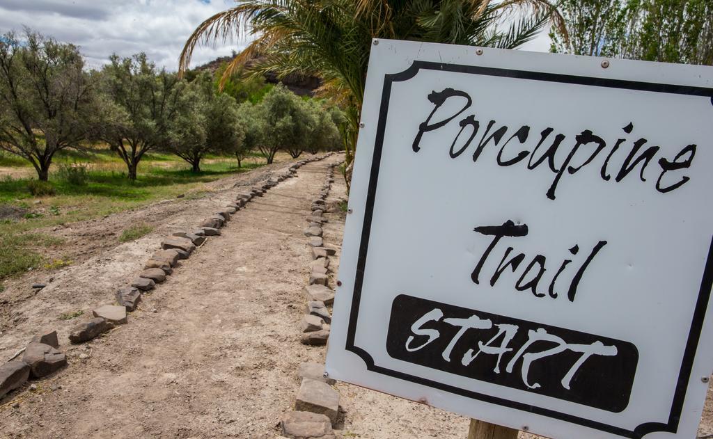 Olive Grove Guest Farm Villa Beaufort West Exterior foto