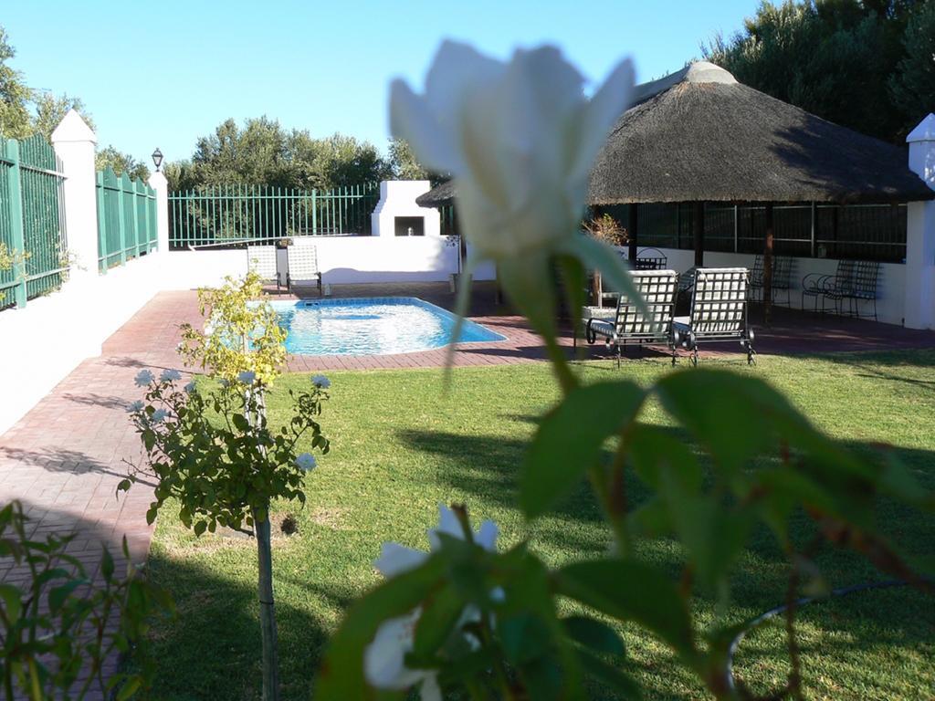Olive Grove Guest Farm Villa Beaufort West Cameră foto